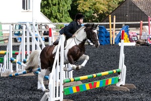 Class 3 -  Fences not above 2'3